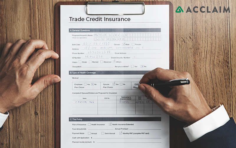 How trade credit insurance can help your business grow